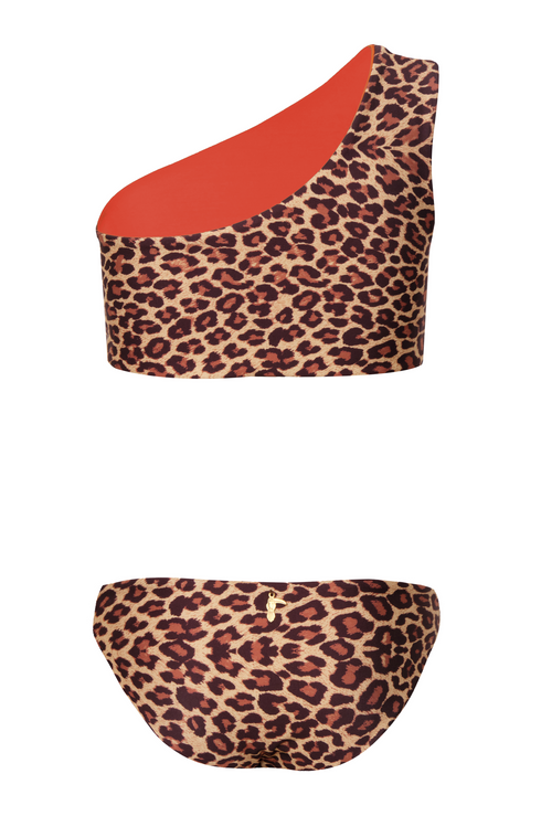 Mini Currulao / Jaguar - Orange