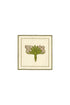 Lirios Cocktail Napkins / Ivory & Green - Set of 4