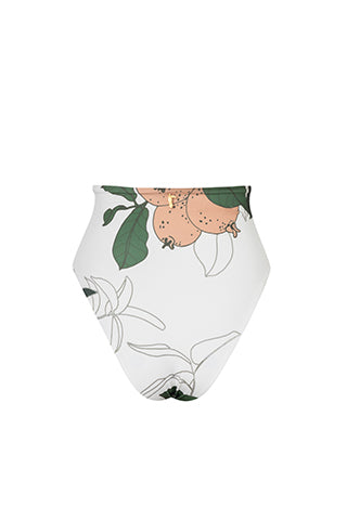 Niche Vintage Bottom / White Guava - Ivory