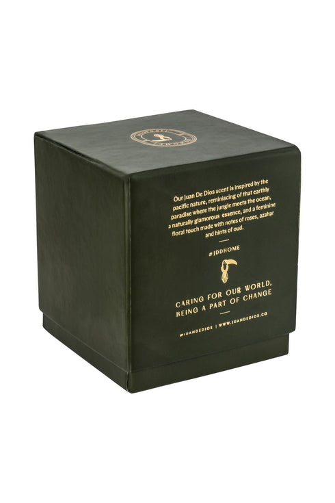 JDD Ceramic Candle / Green Palm