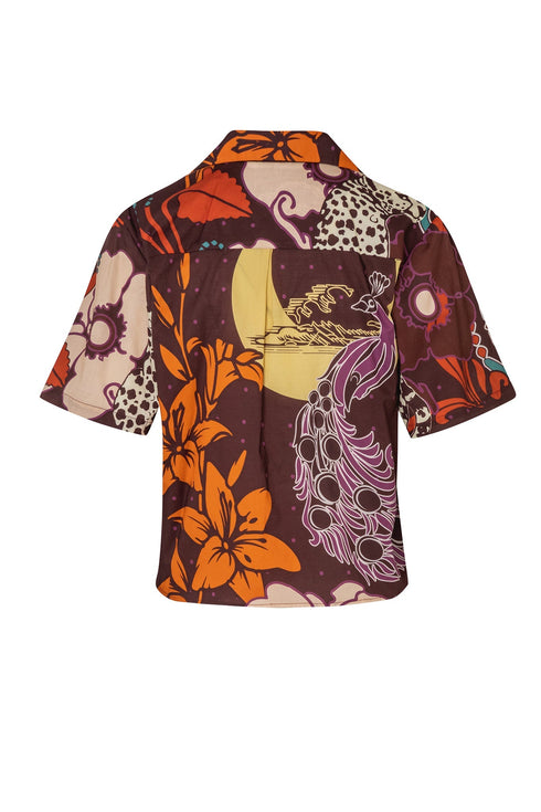 Tomaso Cotton Shirt / Brown Moonlight Garden