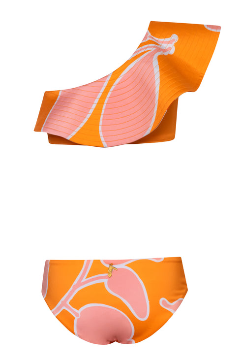 Mini Sunset Waves / Orange Guava