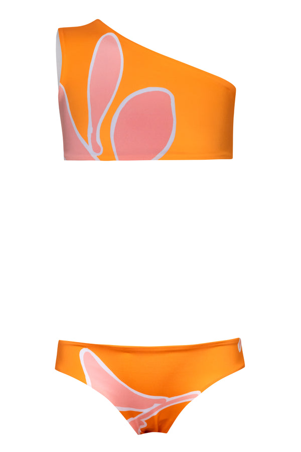 Mini Currulao / Orange Guava