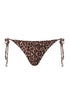 Brazil Bottom / Jaguar