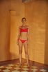 Brazil Bottom / Fucsia - Red