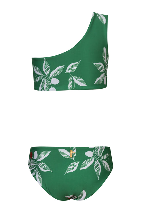 Mini Currulao / Green